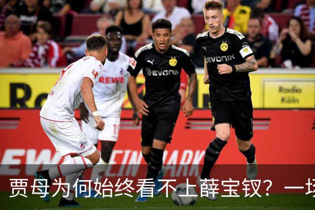 贾母为何始终看不上薛宝钗？一场螃蟹宴，早就把答案摆上了桌